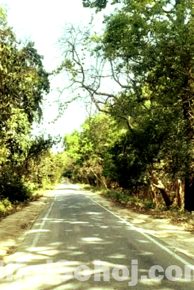 বাড়ি তৈরীর জমি বিক্রয়